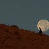 A moonlit walker makes her way up the Canyon Trail.