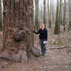 Elizabeth and a big loblolly pine (Pinus taeda) on the Boardwalk Trail.