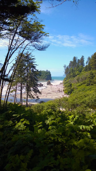 Ruby Beach peeks out of the trees from the short trail.
