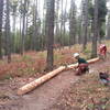 Volunteers creating a banked turn on the new Fenceline Trail.