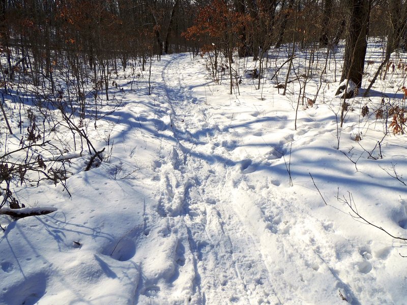 Winter time on the Glenwood Dunes Trail.