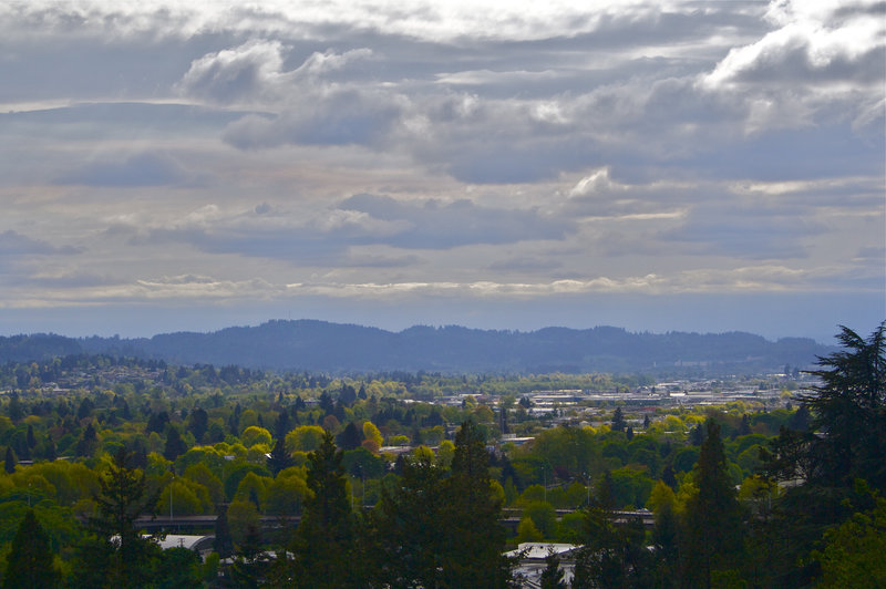 View of clouds and trees from Spencer Butte.