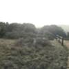 N. Ridge Trail, Angel Island.