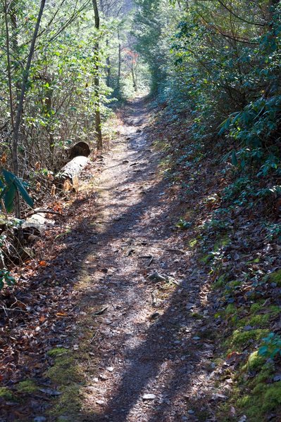 Little Brier Gap trail.