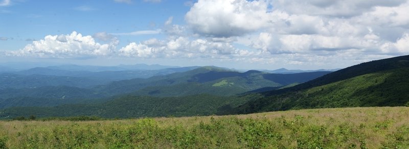 Roan Mountain (Round Bald) Panorama.