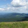 Roan Mountain (Round Bald) Panorama.