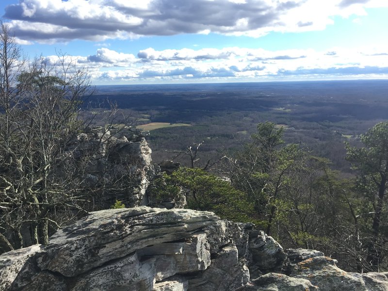 Wolf Rock View