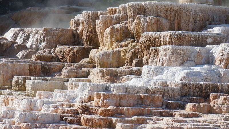 Mammoth Hot Springs   7010615 Medium 1554398882 