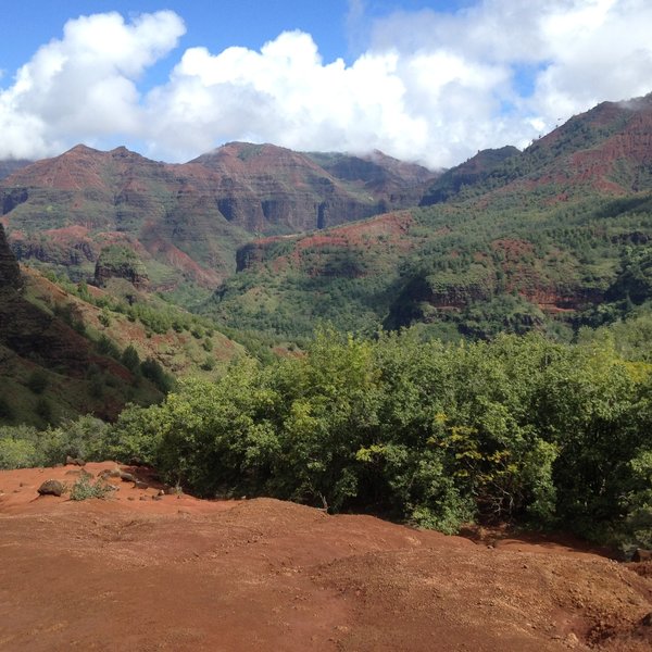 Another view of Waimea canyon