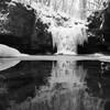 Hidden waterfall in Waterfall Glen DuPage County Forest Preserve