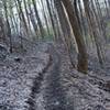 The trail is narrow and can be muddy in the fall and winter.