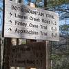 The West Prong Trail meets up with the Bote Mountain Trail and offers several possibilities for continuing.