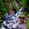 One of the many impressive creek crossings along the North Fork of the Quinault Trail.