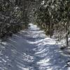 The trail climbs to the Appalachian Trail at the crest of the Smokies. This means that even though the trail may be clear when you start, you can be in snow by the time you finish in the winter.