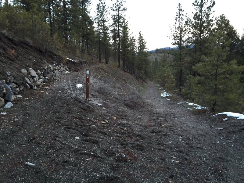 Junction of Trail 25 and Trail 204.