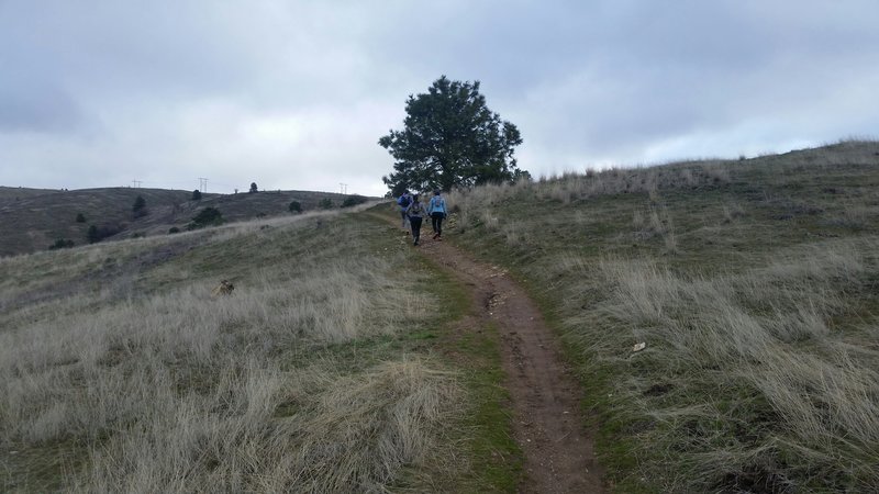 Trail runners on this multi-use trail.