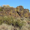 Lava rocks and lichen for days.