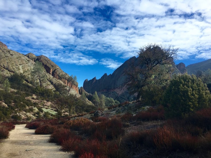 Pinnacles National Park on the Balconies trail.
