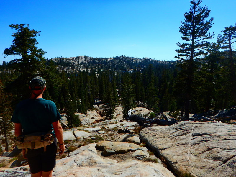 Long Lake Hiking Trail Off-Trail Day Hike To Swim At Long Lake, Emigrant Wilderness.