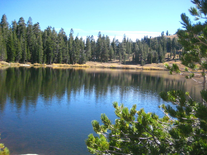 Great picnic site at Showers Lake. Okay fishing, good swimming, quiet...