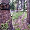 Junction of Joe Crane Lake Trail and Isberg Trail. Can be easy to miss as you head along the Isberg Trail so keep an eye out for it!