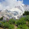 Mt. Rainier towards the beginning of the Skyline Trail.