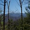 Obscured views of the Smokies Crest from the trail.