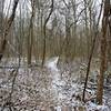 Light snow on the trail at the Zona Wildlife Sanctuary.