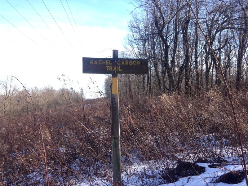 Rachel Carson trail marking.