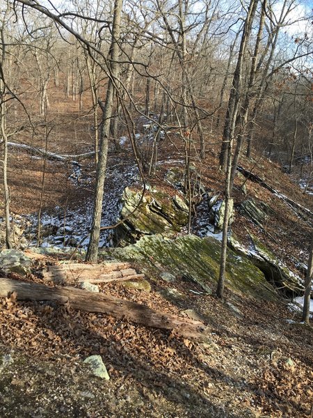 Mossy rocks along the Turkey Pen Hollow Trail.