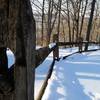 Snowshoeing the Audubon Loop Trail