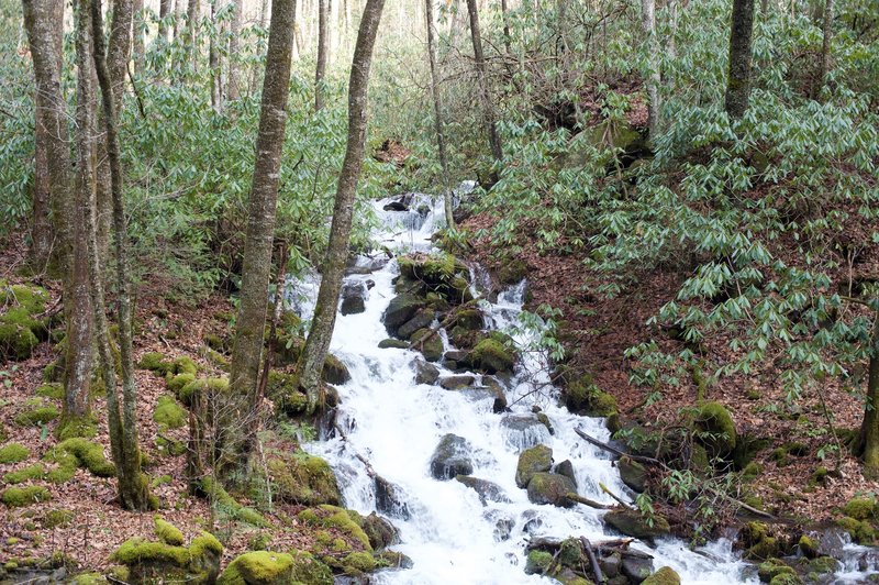 A cascade off to the side of the Bradley Fork Trail.
