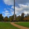 Windsor Great Park - The Totem Pole.