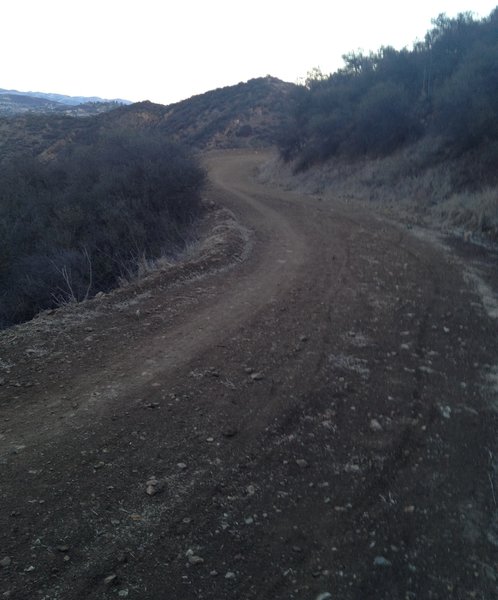 Groomed fire road on Los Robles Trails.