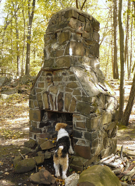 Chimney along the Metacomet Trail shortly before intersection of Taj Mahal.