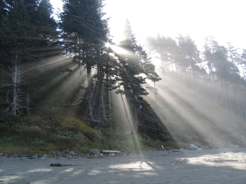Rays of light make their way to Shi Shi Beach.
