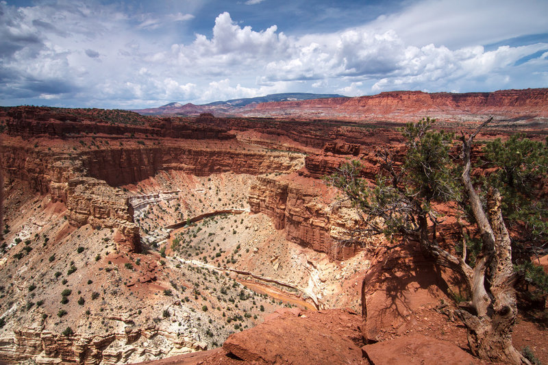 Mummy Cliff from Panorama Point, Loa, Utah