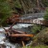 Bridge on the Big Creek Trail in Olympic National Park in Feb 2016 taken on a day with 2 inches of rain. The bridge was off its footings, but still passable for those willing to traverse the log jam on the far side.
