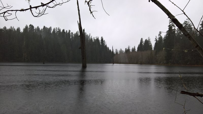 Irely Lake on the Big Creek Trail in Olympic National Park in Feb 2016. Looked like a surreal ghost lake during a winter rainstorm.