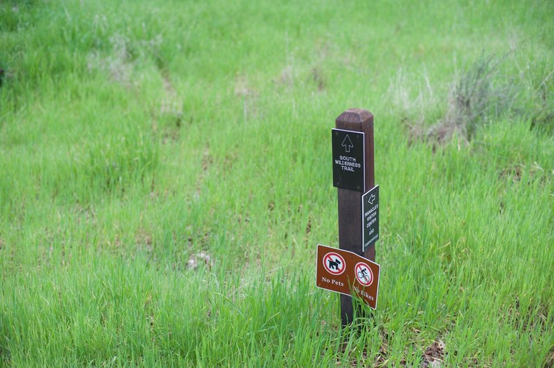 The junction with the South Wilderness Trail.