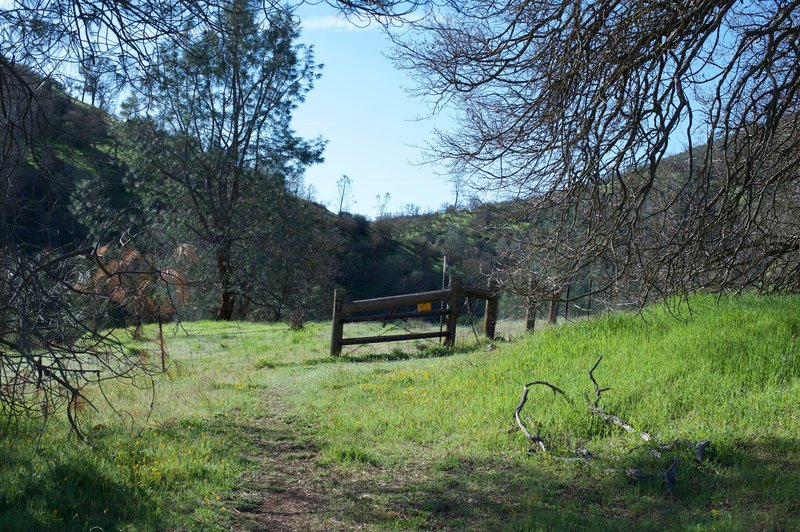 The pig fence at the end of the trail signals the end of the hike as you have reached the park boundary.