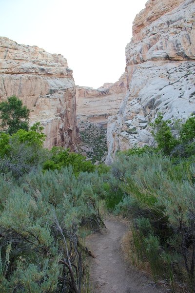 Box Canyon. Dinosaur National Monument.
