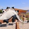 Stegosaurus welcomes you to the Dinosaur National Monument visitor center.