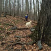 Steep ascent!