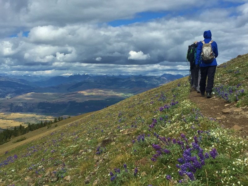 Washburn discount trail yellowstone