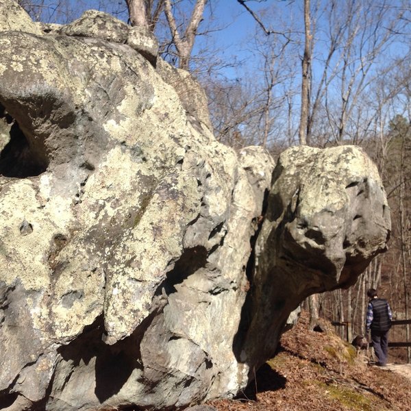 "Terrapin" Rock is one of many features on display at Pickle Springs.