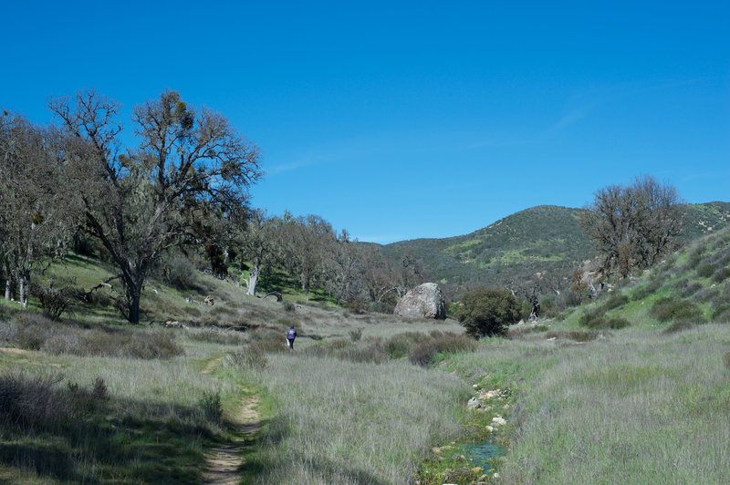 The trail climbs away from the high peaks area, climbing toward the hill in the distance.