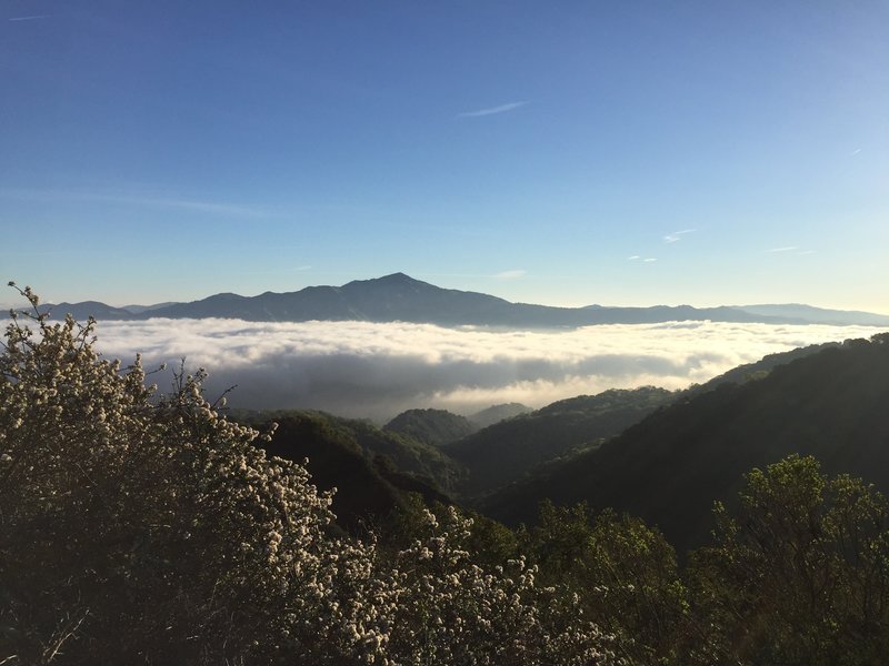 View of Mt. Diablo from Las Trampas Peak.