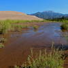 Medano Creek brings a bit of green to the Great Sand Dunes.