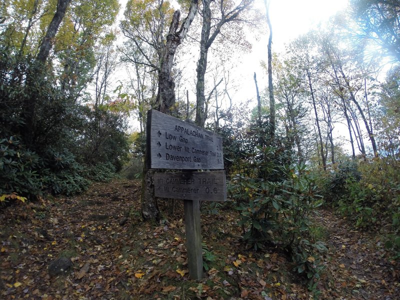 Junction of the Appalachian trail and the tail to Mt. Cammerer